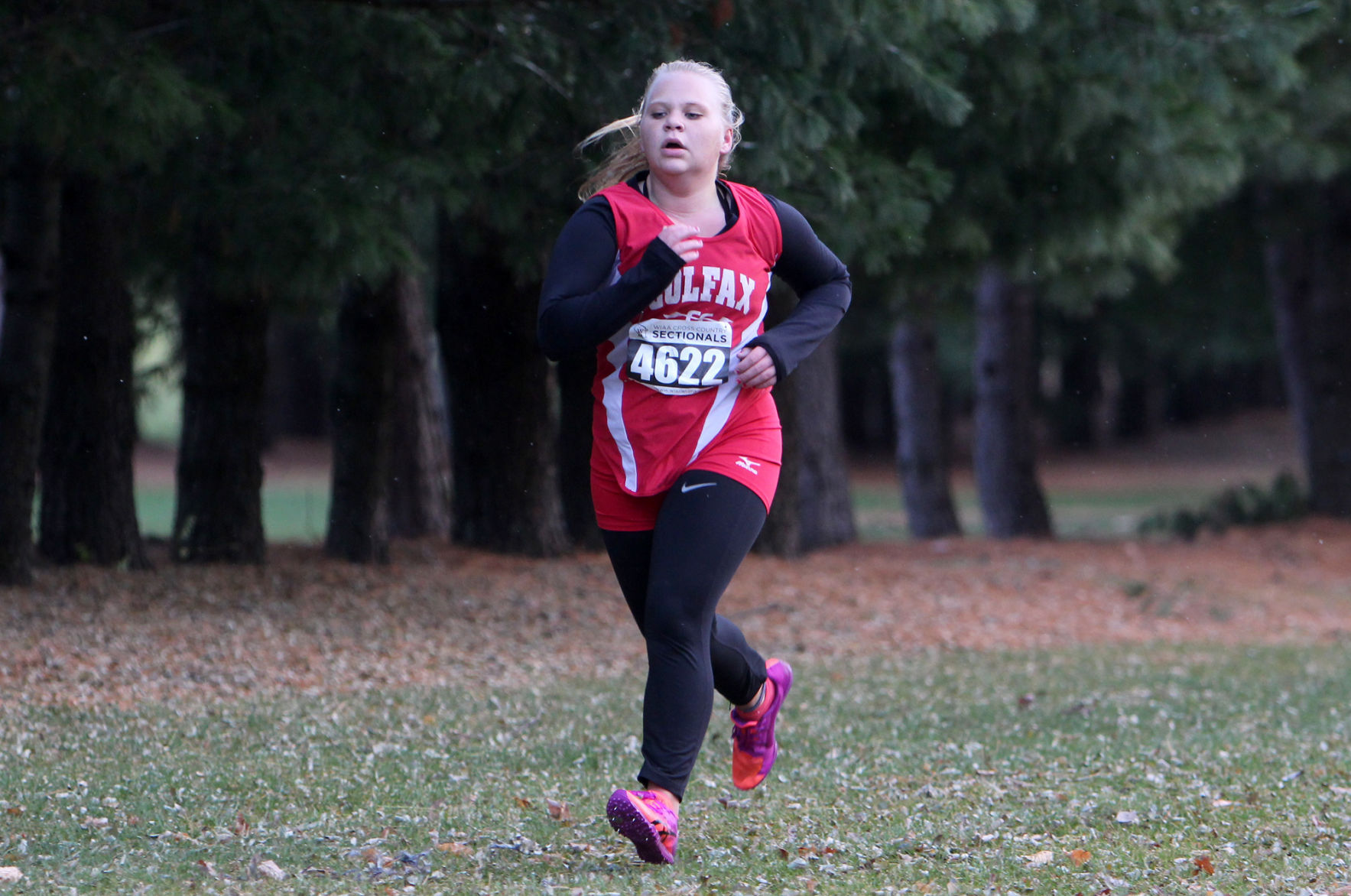 Division 3 Cross Country Sub-Sectional at Colfax 10-19-20